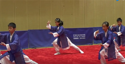 2018傳統(tǒng)武術精英賽少兒組比賽